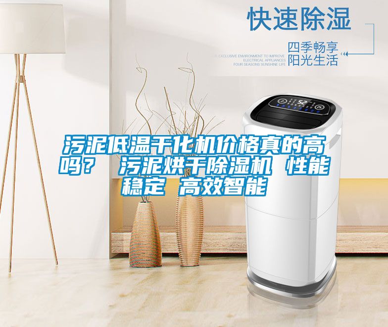 污泥低溫干化機(jī)價(jià)格真的高嗎？ 污泥烘干除濕機(jī) 性能穩(wěn)定 高效智能