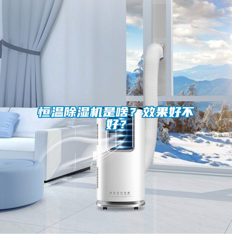 恒溫除濕機(jī)是啥？效果好不好？