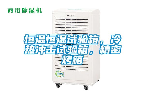 恒溫恒濕試驗(yàn)箱，冷熱沖擊試驗(yàn)箱，精密烤箱