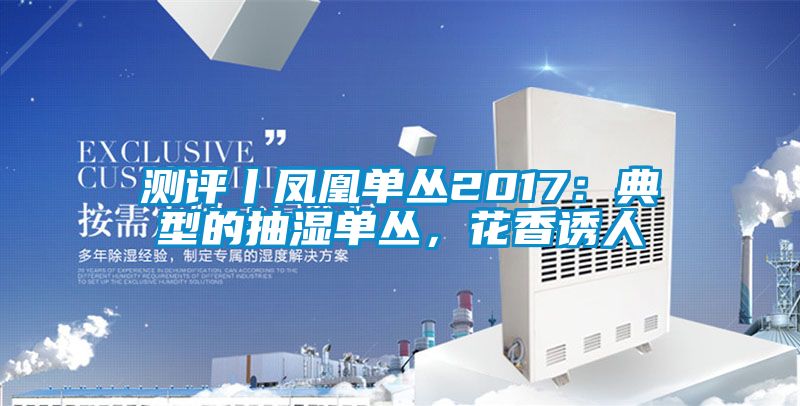 測(cè)評(píng)丨鳳凰單叢2017：典型的抽濕單叢，花香誘人