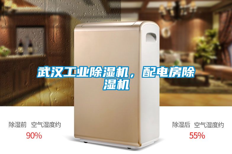 武漢工業(yè)除濕機，配電房除濕機