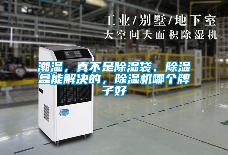 潮濕，真不是除濕袋、除濕盒能解決的，除濕機(jī)哪個(gè)牌子好