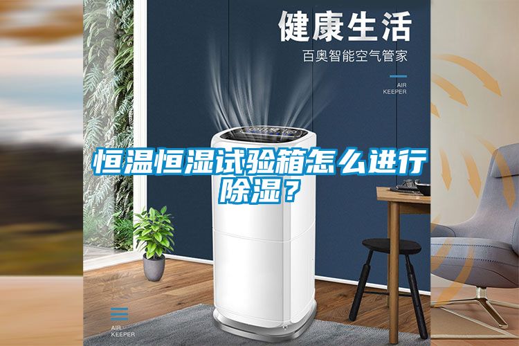 恒溫恒濕試驗箱怎么進行除濕？