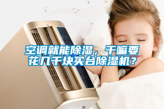 空調(diào)就能除濕，干嘛要花幾千塊買臺(tái)除濕機(jī)？