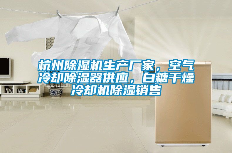 杭州除濕機生產(chǎn)廠家，空氣冷卻除濕器供應(yīng)，白糖干燥冷卻機除濕銷售