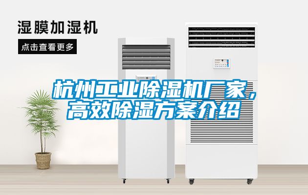 杭州工業(yè)除濕機廠家，高效除濕方案介紹