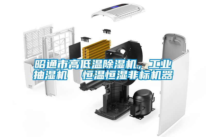 昭通市高低溫除濕機(jī)，工業(yè)抽濕機(jī)  恒溫恒濕非標(biāo)機(jī)器