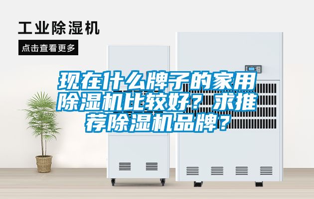 現(xiàn)在什么牌子的家用除濕機(jī)比較好？求推薦除濕機(jī)品牌？