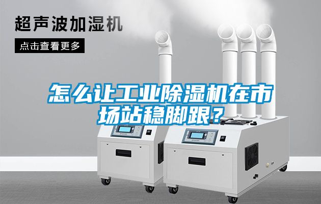 怎么讓工業(yè)除濕機在市場站穩(wěn)腳跟？