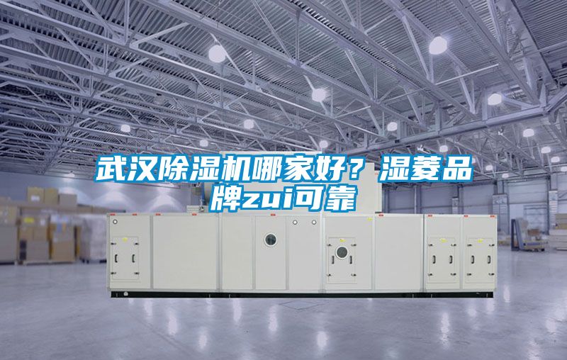 武漢除濕機哪家好？濕菱品牌zui可靠