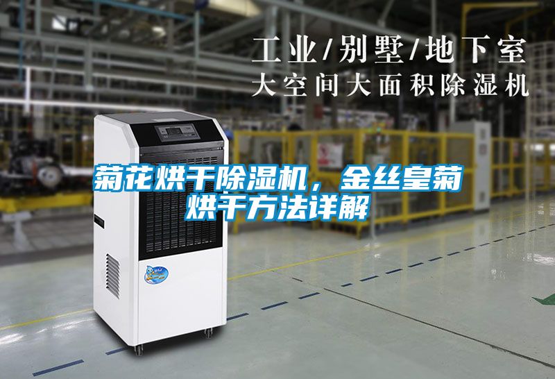 菊花烘干除濕機，金絲皇菊烘干方法詳解