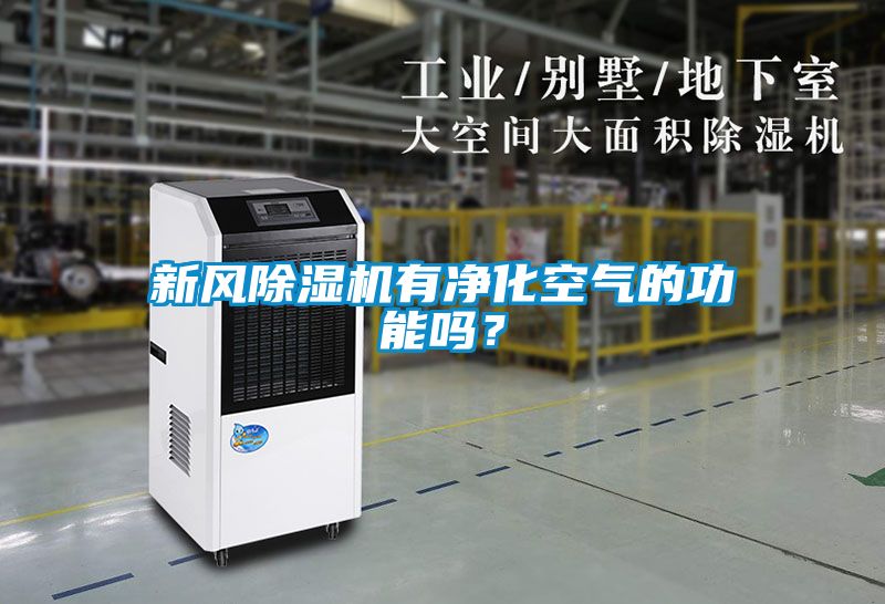 新風除濕機有凈化空氣的功能嗎？