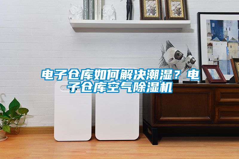 電子倉庫如何解決潮濕？電子倉庫空氣除濕機(jī)