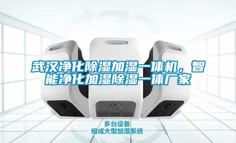 武漢凈化除濕加濕一體機，智能凈化加濕除濕一體廠家