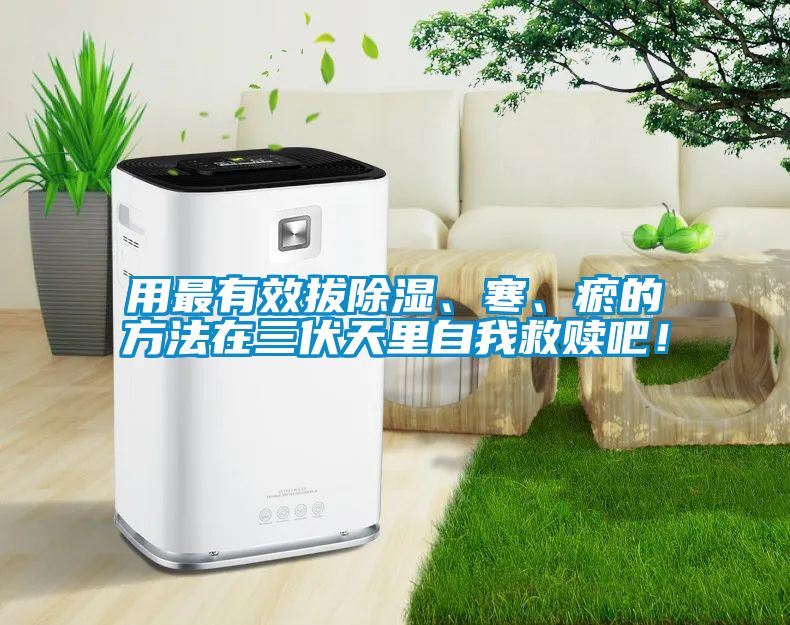 用最有效拔除濕、寒、瘀的方法在三伏天里自我救贖吧！