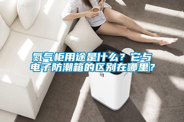 氮?dú)夤裼猛臼鞘裁?？它與電子防潮箱的區(qū)別在哪里？