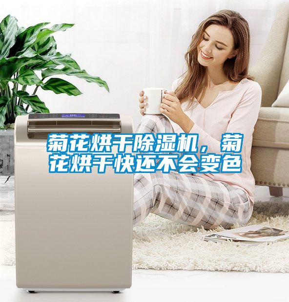 菊花烘干除濕機，菊花烘干快還不會變色