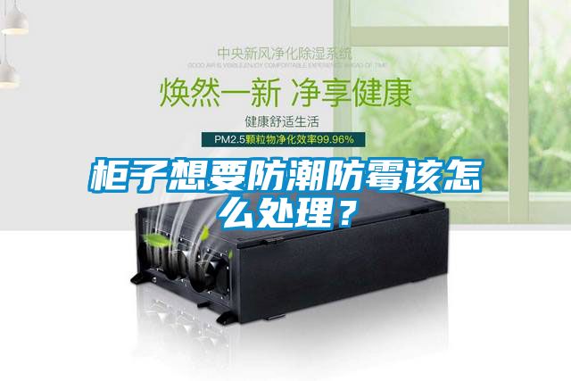 柜子想要防潮防霉該怎么處理？