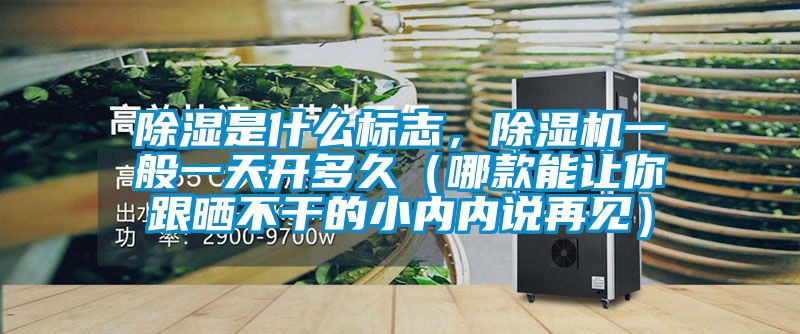 除濕是什么標(biāo)志，除濕機(jī)一般一天開多久（哪款能讓你跟曬不干的小內(nèi)內(nèi)說再見）