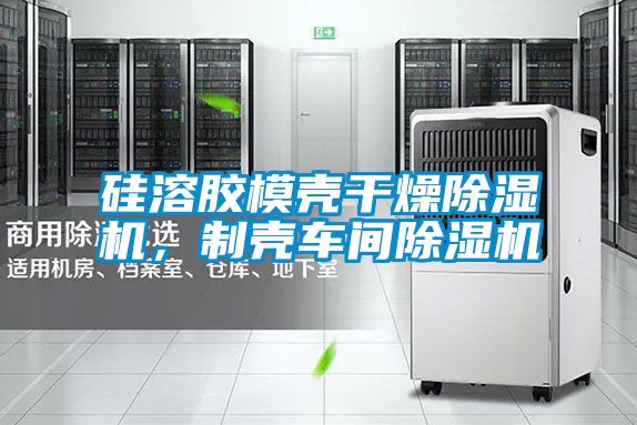 硅溶膠模殼干燥除濕機(jī)，制殼車間除濕機(jī)