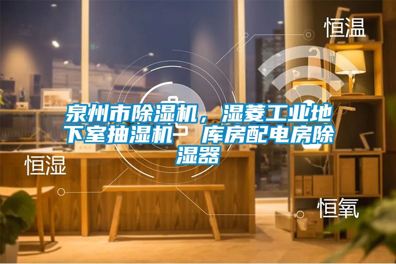 泉州市除濕機(jī)，濕菱工業(yè)地下室抽濕機(jī)  庫房配電房除濕器