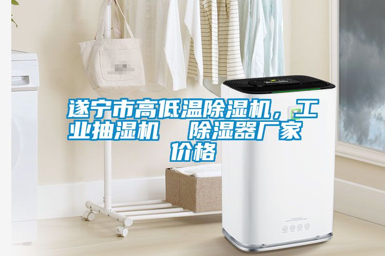 遂寧市高低溫除濕機，工業(yè)抽濕機  除濕器廠家 價格