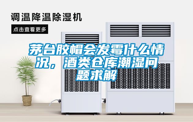 茅臺(tái)膠帽會(huì)發(fā)霉什么情況，酒類倉(cāng)庫(kù)潮濕問題求解