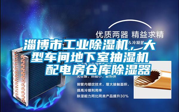 淄博市工業(yè)除濕機，大型車間地下室抽濕機  配電房倉庫除濕器