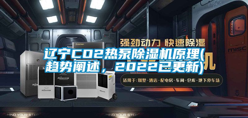 遼寧CO2熱泵除濕機(jī)原理(趨勢(shì)闡述，2022已更新)