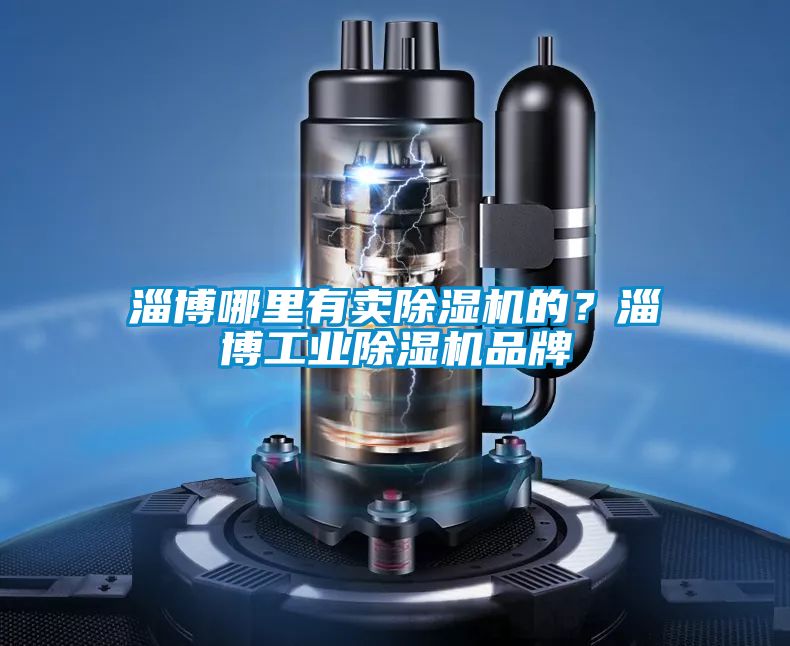 淄博哪里有賣除濕機(jī)的？淄博工業(yè)除濕機(jī)品牌