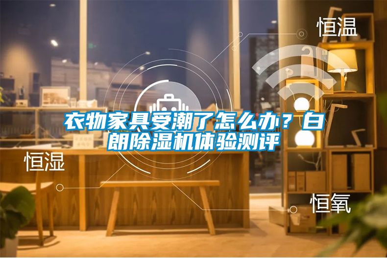 衣物家具受潮了怎么辦？白朗除濕機(jī)體驗(yàn)測(cè)評(píng)