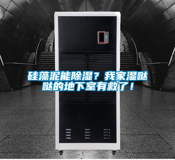 硅藻泥能除濕？我家濕噠噠的地下室有救了！