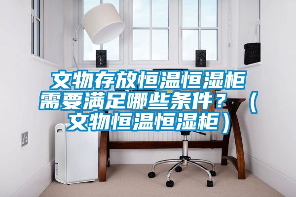 文物存放恒溫恒濕柜需要滿足哪些條件？（文物恒溫恒濕柜）