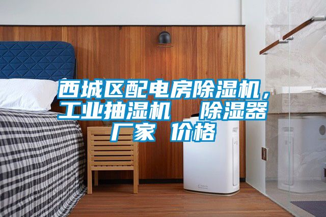 西城區(qū)配電房除濕機(jī)，工業(yè)抽濕機(jī)  除濕器廠家 價格
