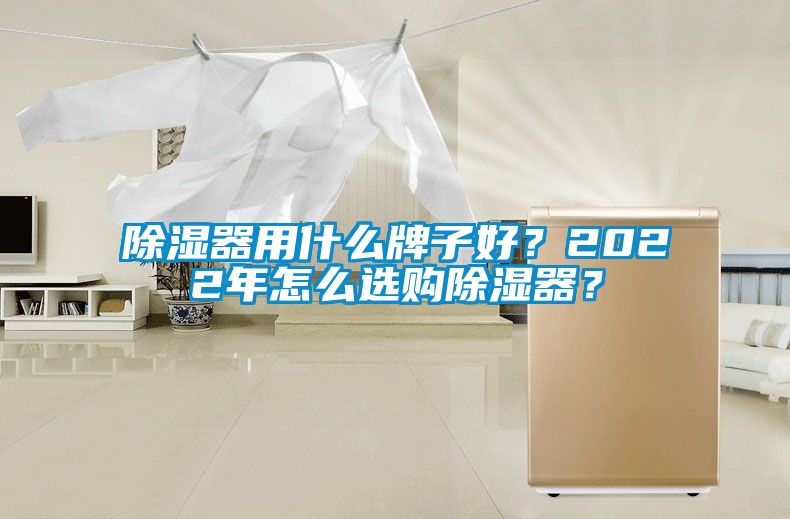 除濕器用什么牌子好？2022年怎么選購除濕器？