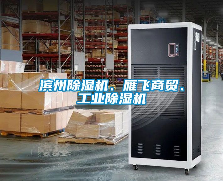 濱州除濕機、雁飛商貿(mào)、工業(yè)除濕機