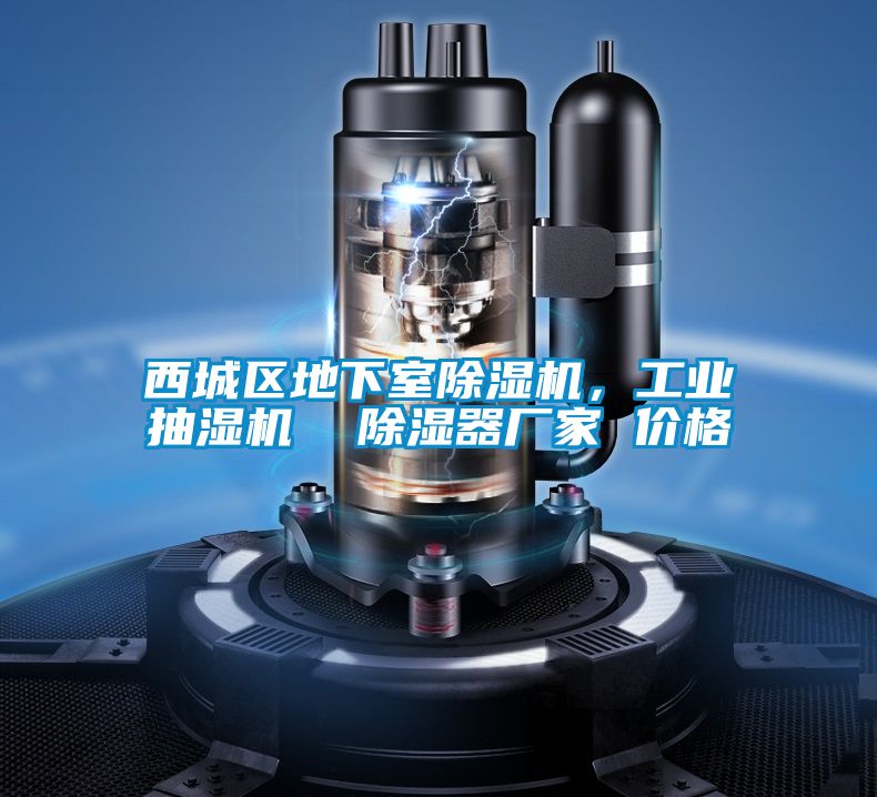 西城區(qū)地下室除濕機(jī)，工業(yè)抽濕機(jī)  除濕器廠家 價(jià)格