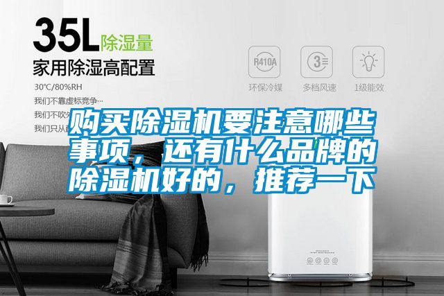 購(gòu)買(mǎi)除濕機(jī)要注意哪些事項(xiàng)，還有什么品牌的除濕機(jī)好的，推薦一下