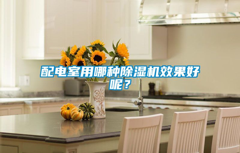 配電室用哪種除濕機效果好呢？