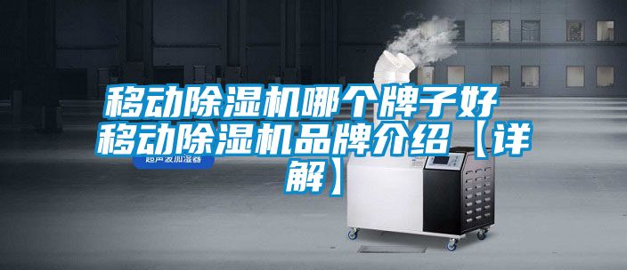 移動除濕機(jī)哪個(gè)牌子好 移動除濕機(jī)品牌介紹【詳解】