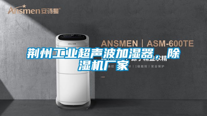 荊州工業(yè)超聲波加濕器，除濕機(jī)廠家