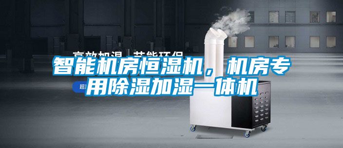 智能機(jī)房恒濕機(jī)，機(jī)房專(zhuān)用除濕加濕一體機(jī)