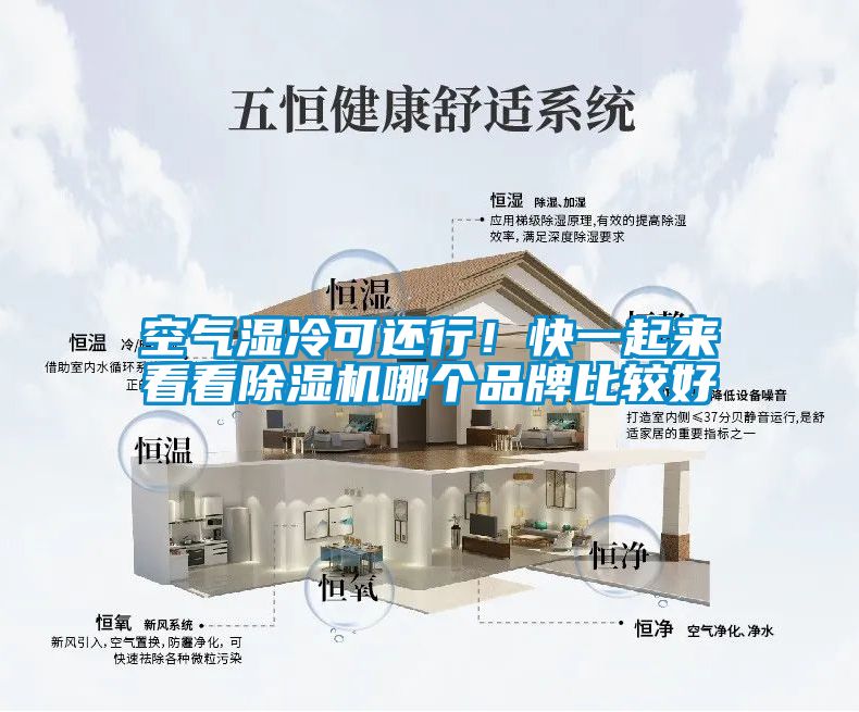 空氣濕冷可還行！快一起來看看除濕機哪個品牌比較好