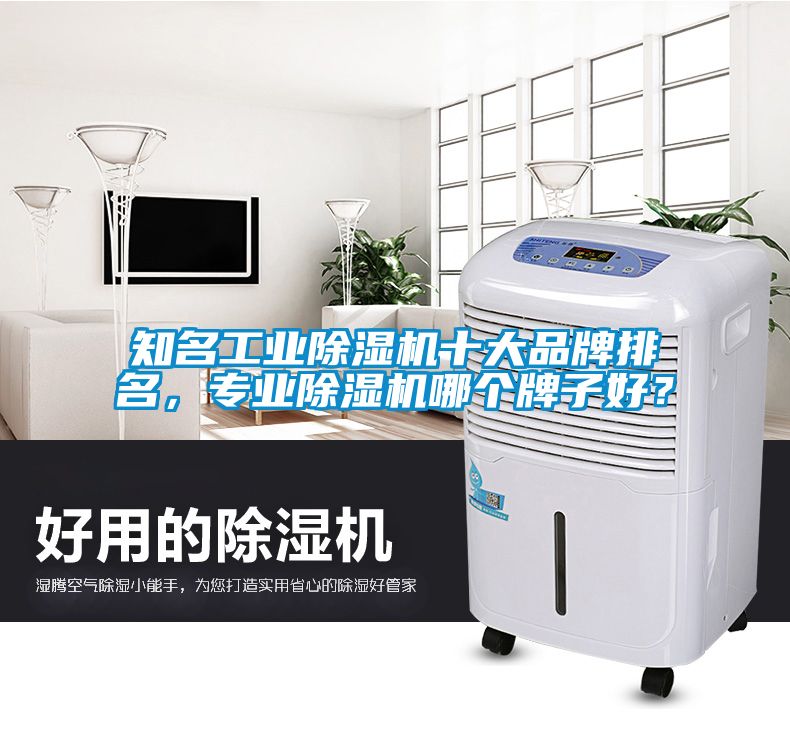 知名工業(yè)除濕機(jī)十大品牌排名，專業(yè)除濕機(jī)哪個(gè)牌子好？
