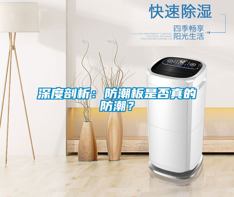 深度剖析：防潮板是否真的防潮？