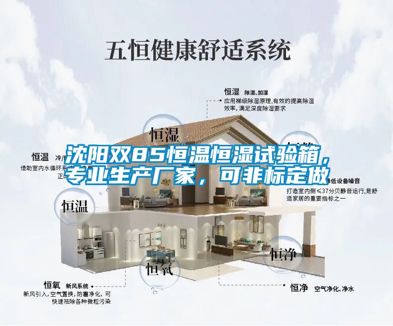 沈陽雙85恒溫恒濕試驗箱，專業(yè)生產(chǎn)廠家，可非標(biāo)定做