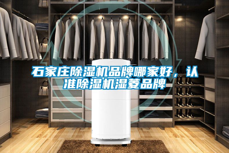 石家莊除濕機(jī)品牌哪家好，認(rèn)準(zhǔn)除濕機(jī)濕菱品牌