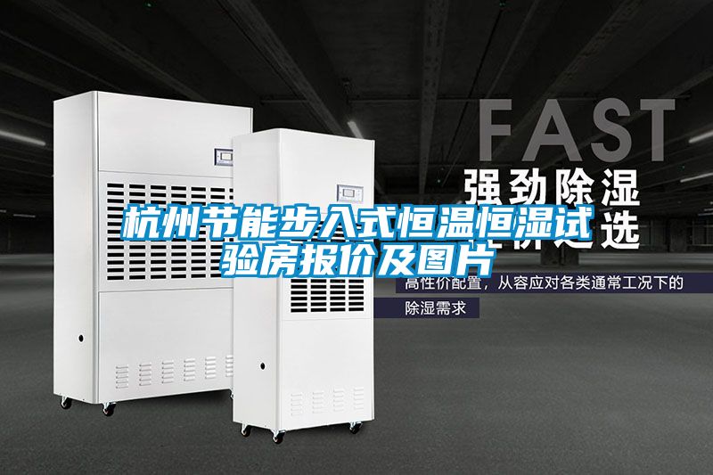 杭州節(jié)能步入式恒溫恒濕試驗(yàn)房報(bào)價及圖片