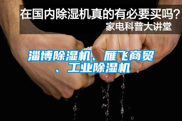 淄博除濕機、雁飛商貿(mào)、工業(yè)除濕機