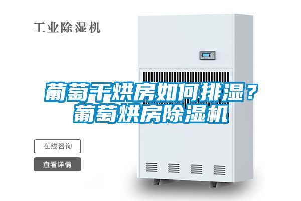 葡萄干烘房如何排濕？葡萄烘房除濕機(jī)